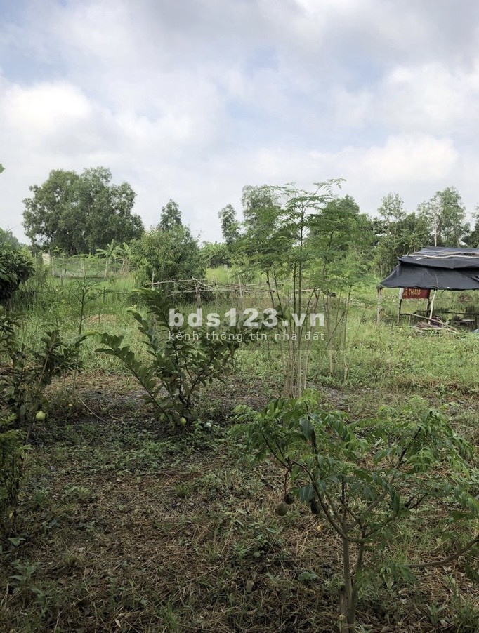Bán đất trồng cây lâu năm đường Nguyễn Văn Long Bình Chánh DT 1.000m²