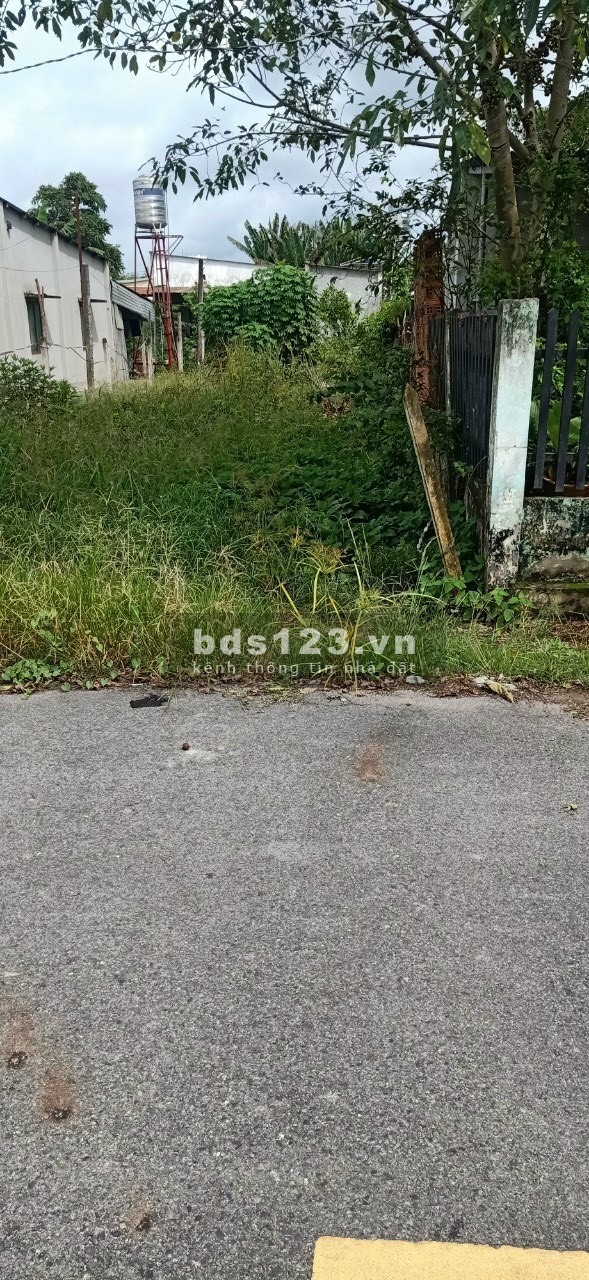 Bán đất mặt tiền nhựa thông dài giá rẻ nhất khu vực, khu dân cư đông