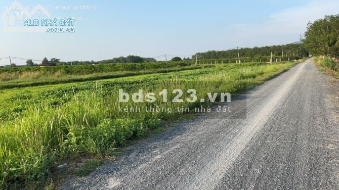 Chính Chủ Kẹt Tiền Cần Bán Gấp Lô Đất Tân Châu - Tây Ninh
