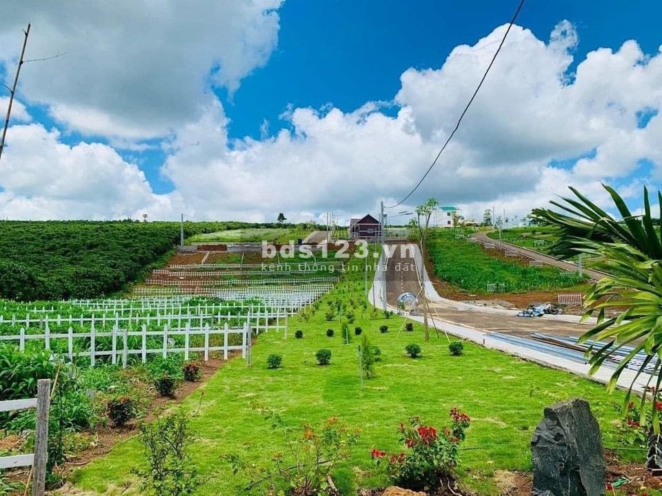 Siêu phẩm nhà vườn nghỉ dưỡng Mango Garden ngay tại Phú Cường Định Quán Đồng Nai
