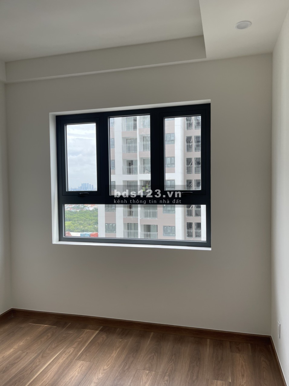 Bán và cho thuê căn hộ Q7 SaiGon Riverside với tất cả các diện tích giá tốt nhất khu vực