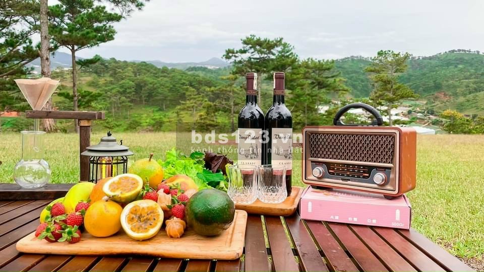 Homestay Bảo Lộc tặng thiết kế công chứng sang tên ngay, giá thương lượng