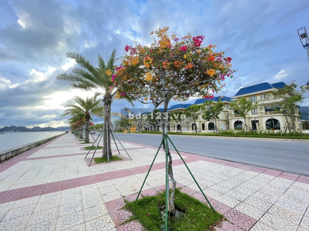 Bán Biệt Thự View Trực Diện Biển Vịnh Bái Tử Long, Quảng Ninh, Sổ đỏ LH 0905561398