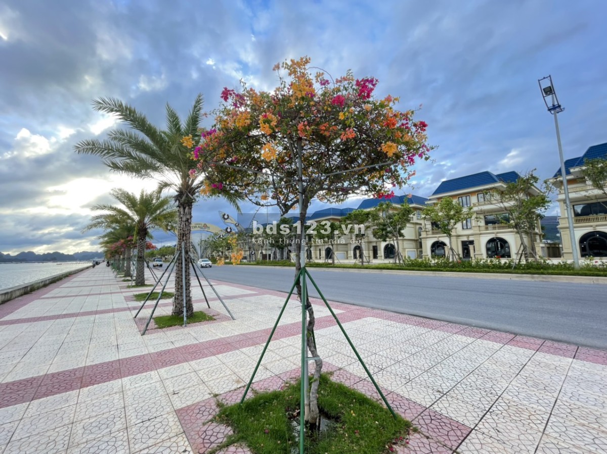Bán Biệt Thự View Trực Diện Biển Vịnh Bái Tử Long, Quảng Ninh, Sổ đỏ LH 0905561398