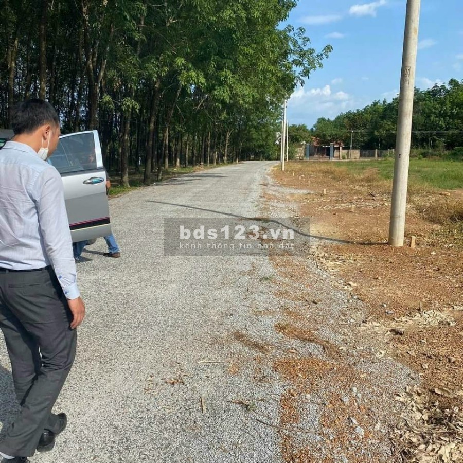 Chỉ với 600 triệu sở hữu ngay lô đất có hỗ trợ vay ngân hàng
