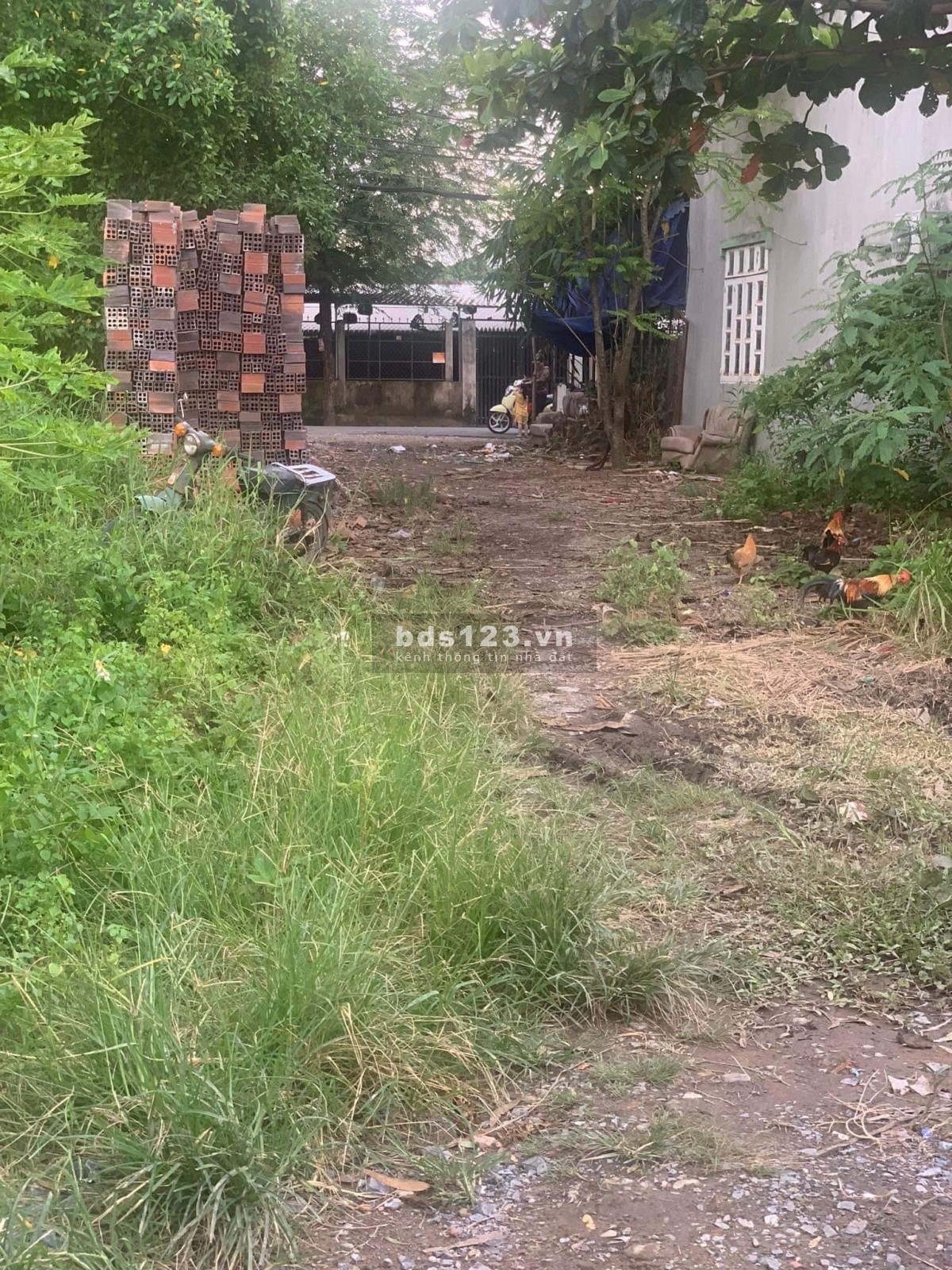 Đất Nông Nghiệp DT khủng xã Đa Phước huyện Bình Chánh giá còn thương lượng