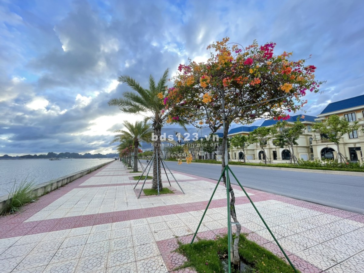 Bán Biệt Thự View Trực Diện Biển Vịnh Bái Tử Long, Quảng Ninh, Sổ đỏ LH 0905561398
