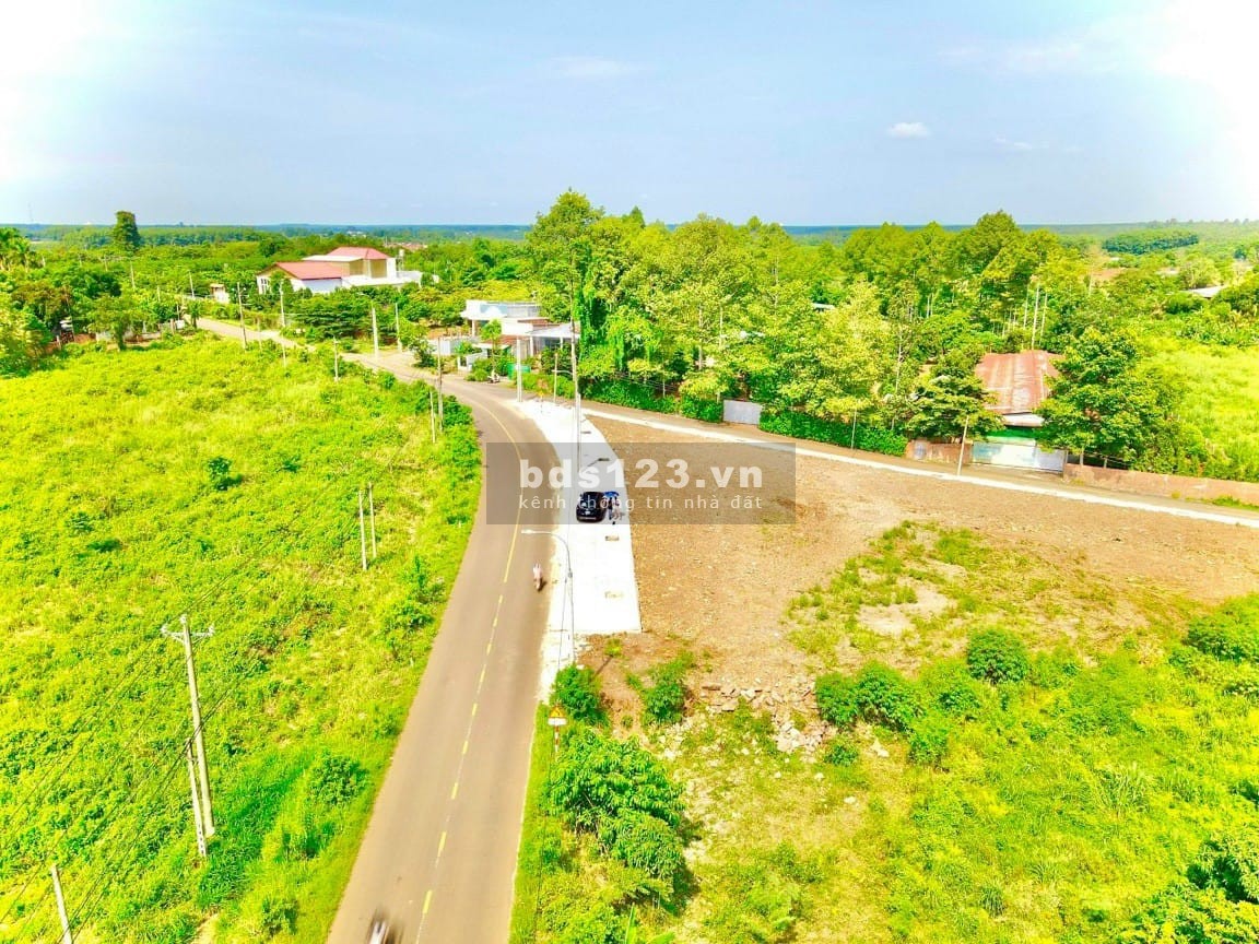 Cần bán nhanh mấy lô đất nền ngay d20 Thống Nhất, Đồng Nai giá F0