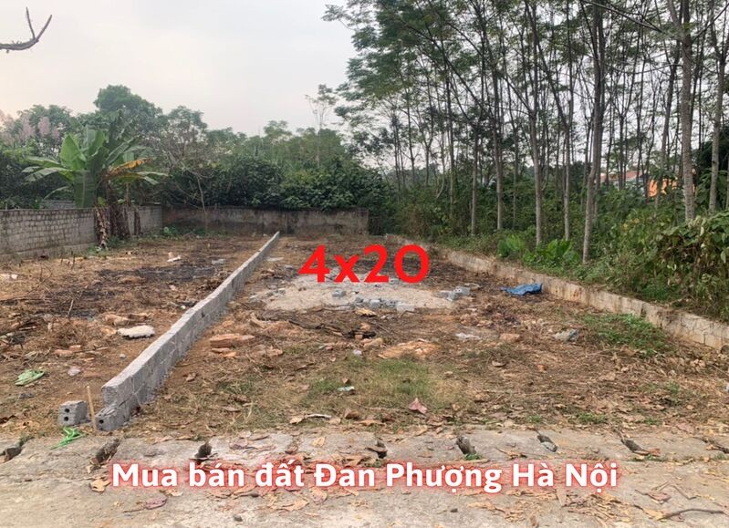 mua-ban-dat-dan-phuong-ha-noi-gia-tot-tai-bds123vn_1661330022.jpg Mua bán đất Đan Phượng Hà Nội giá tốt tại Bds123.vn