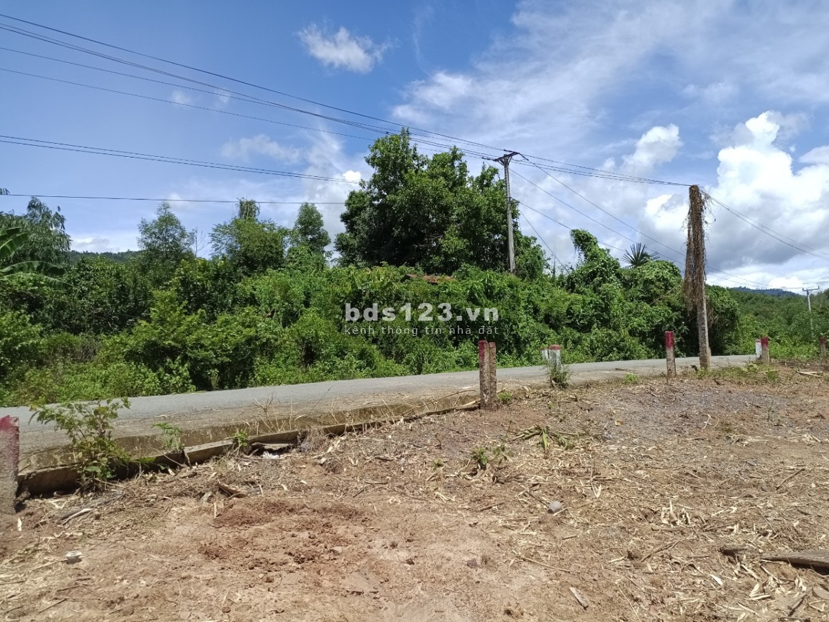 Bán nhanh lô đất mặt tiền tỉnh lộ 8C có thổ cư giá rẻ nhất thị trường