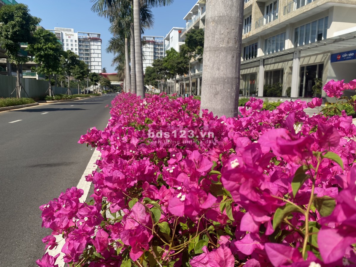 Cho thuê shophouse căn góc Nguyễn Cơ Thạch, khu đô thị Sala Quận 2
