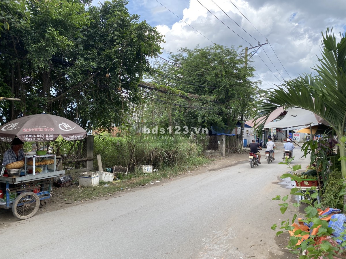 Bán lô đất Mặt Tiền 1A diện tích 2686,2 m2 Full thổ cư, xã Vĩnh Lộc B, Bình Chánh