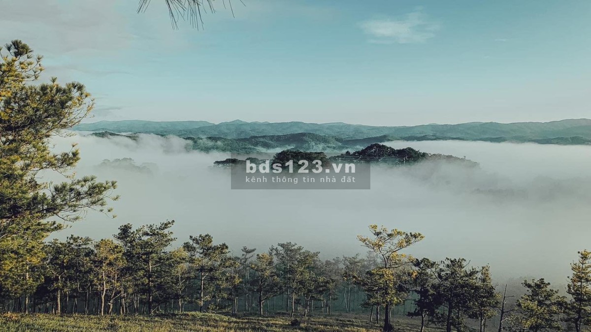Cần bán gấp mảnh đất 700m2 tại Sín Chải, Y Tý, SAPA2 giá thoả thuận