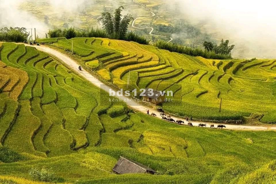 Bán đất nền Sapa 2 (Y Tý), khu đô thị du lịch biên giới, giá đầu tư