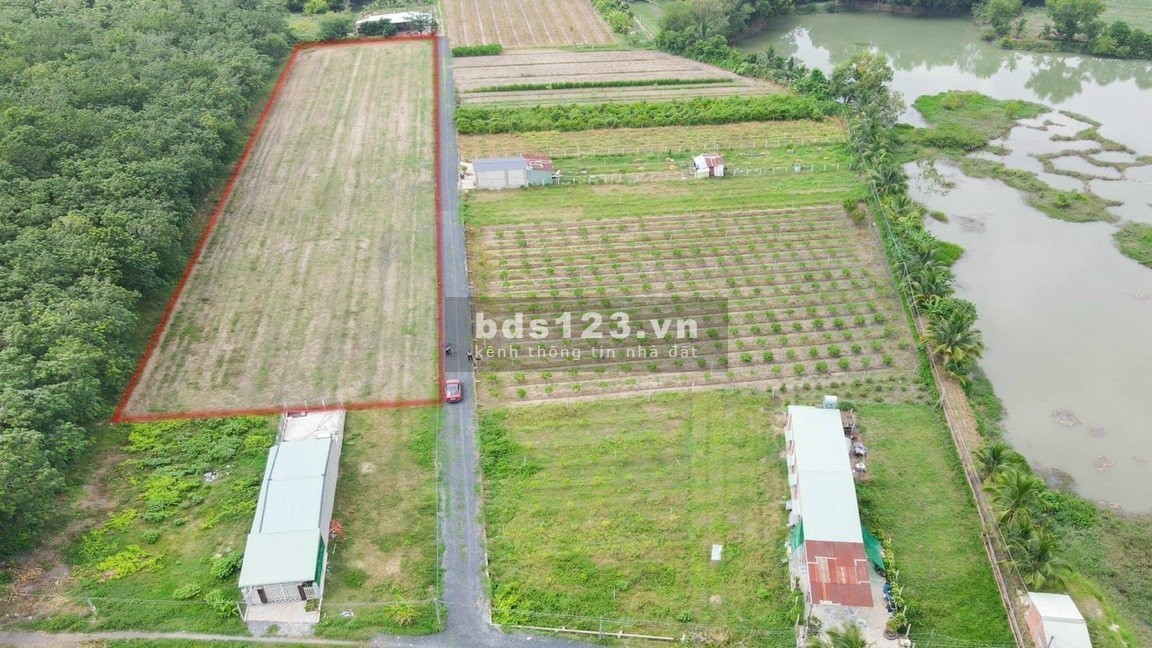 Đất ngộp Tân Châu chủ cần tiền bán gấp đã có sổ đường lớn, giá tốt