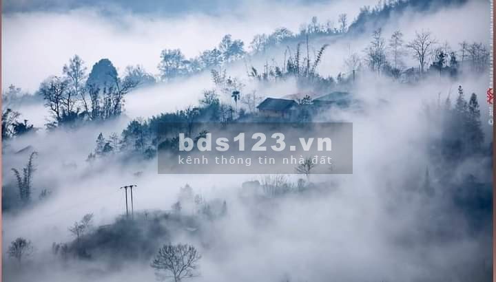 Cần bán gấp mảnh đất 700m2 tại Sín Chải, Y Tý, SAPA2 giá thoả thuận