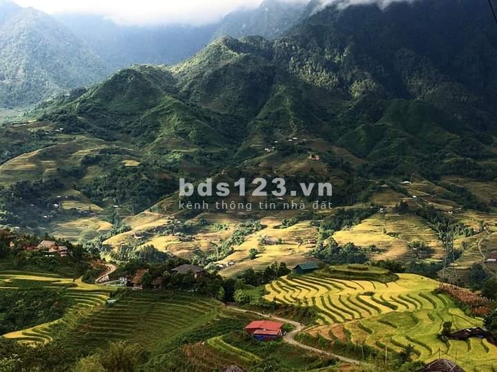 Cần bán gấp mảnh đất 700m2 tại Sín Chải, Y Tý, SAPA2 giá thoả thuận
