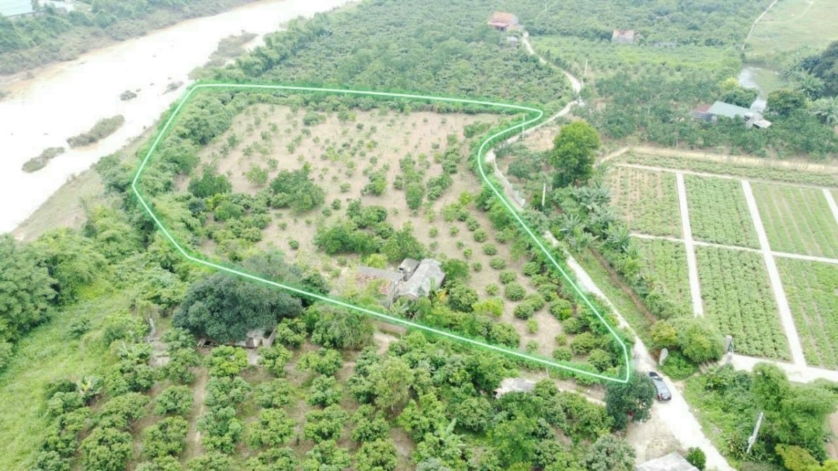 Gia đình có mảnh 6525m, 400m thổ cư mặt tiền 200m đường betong 4m Bám bờ sông 90m Giá 3ty9 bao sổ.