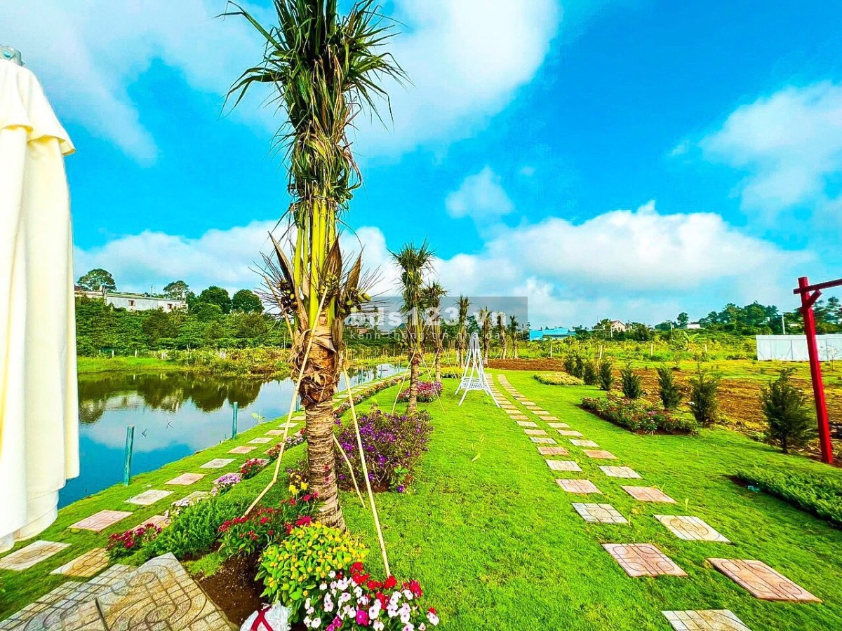 Tôi chính chủ muốn bán lô đất 237m2, gần trường học, chợ mới Lộc An bán 495tr bớt cho ai thiện chí