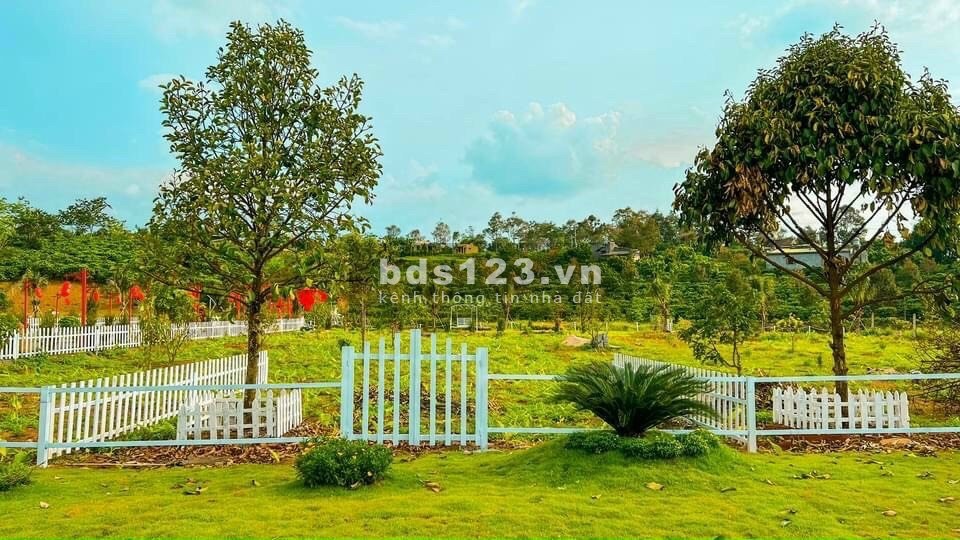 Tôi chính chủ muốn bán lô đất 237m2, gần trường học, chợ mới Lộc An bán 495tr bớt cho ai thiện chí