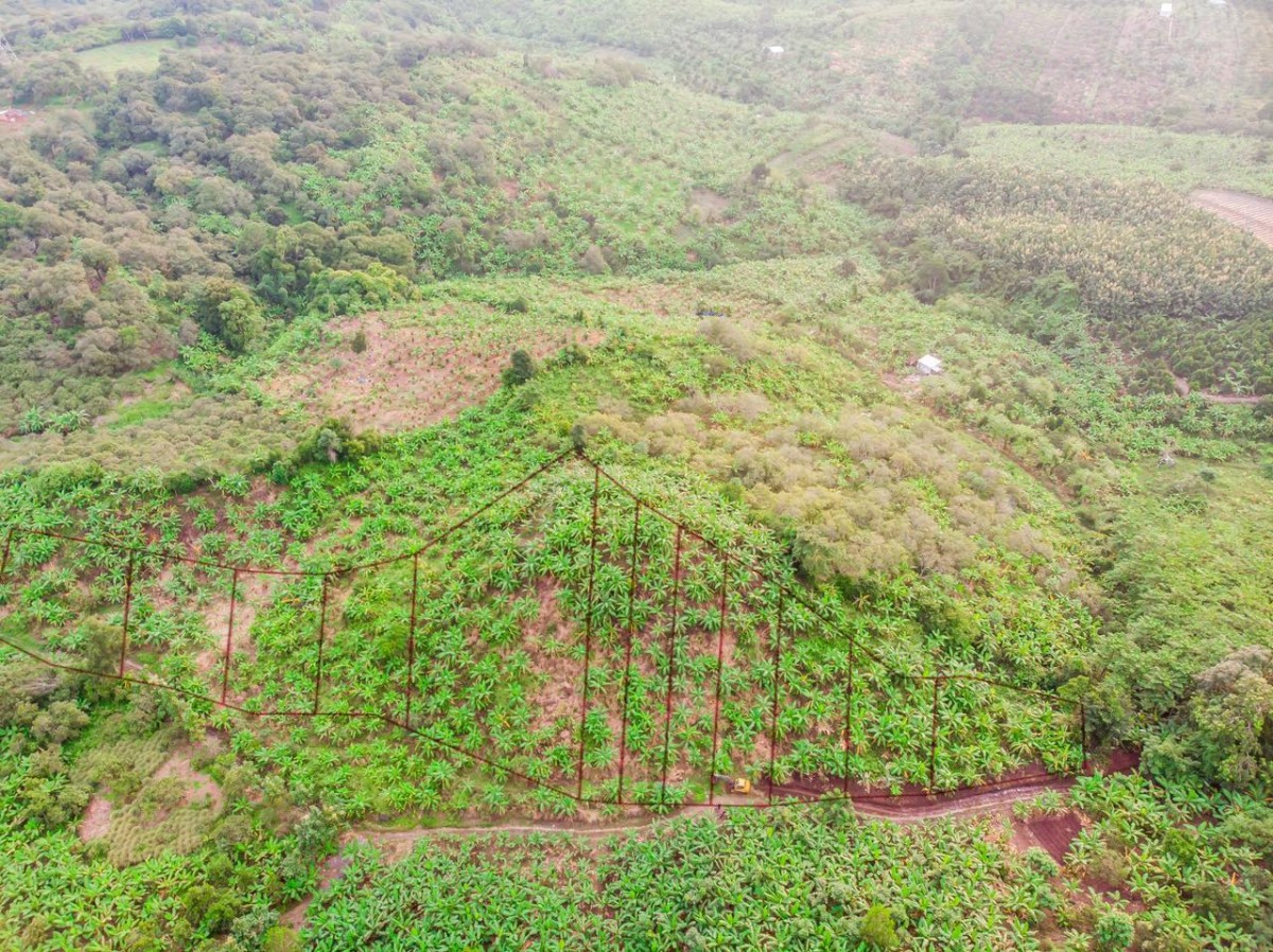 Ưu đãi tháng 8 tặng 4 chỉ vàng khi mua lô đất vườn View đẹp 3600m2 ngân hàng SCB hỗ trợ vay 550