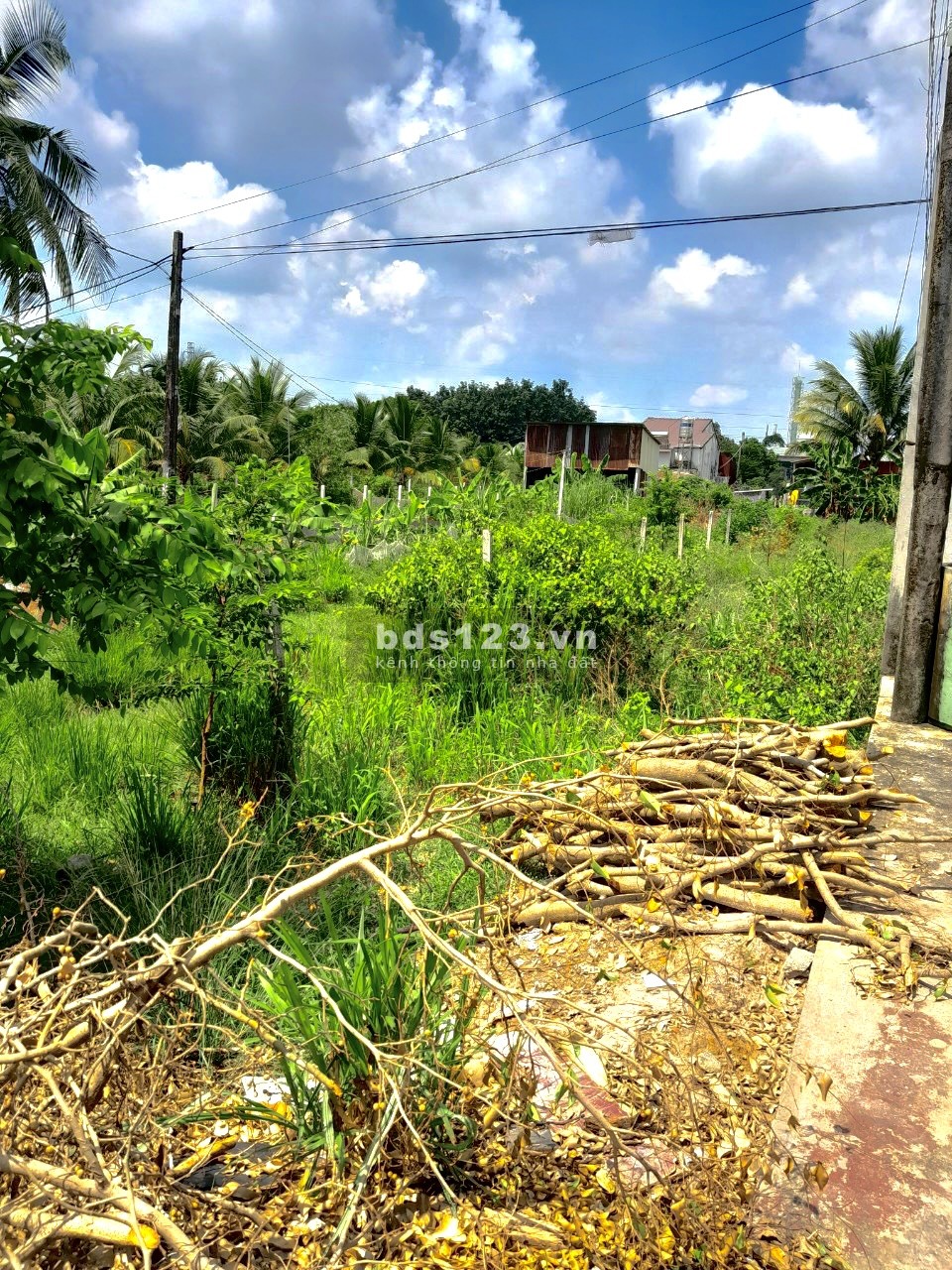 Chỉ 479tr sở hữu ngay lô đất trên Tây Ninh full thổ cư liên hệ 0931282591