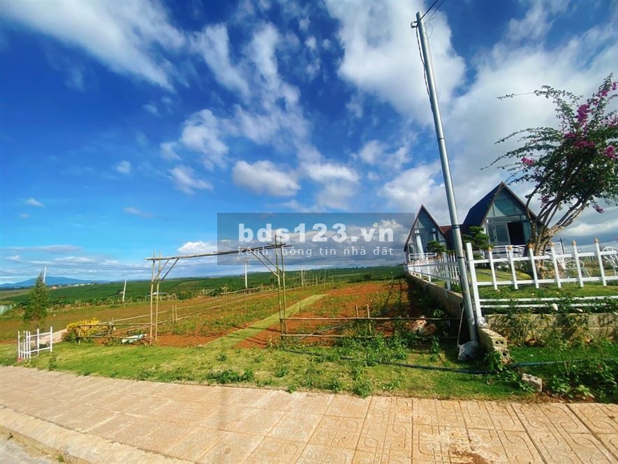 Bán 258m2 đất thổ cư cách trung tâm Bảo Lộc 10p ở QL20 vào 900m 595tr SHR