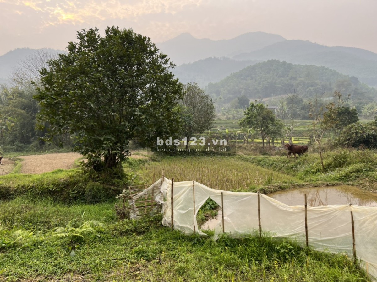 Bán đất xom Cang TP Hoà Bình 2900m view ruộng bậc thang, bám suối mặt tiền 90m