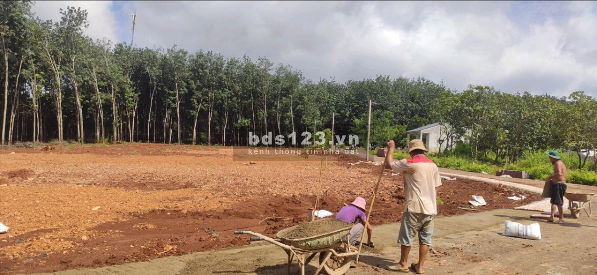 Bán đất vườn ngay cạnh KCN VSIP 4 DT 1000m² (15 x 86m) giá 480 triệu đồng