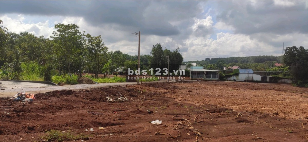 Bán đất vườn ngay cạnh KCN VSIP 4 DT 1000m² (15 x 86m) giá 480 triệu đồng