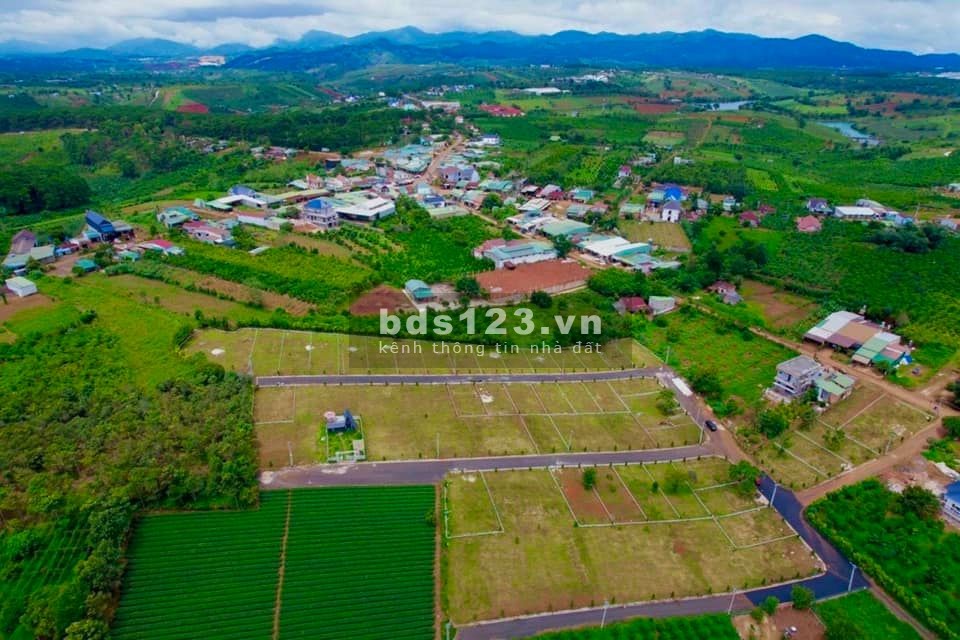 Bán đất nền phân lô sổ riêng từng lô, giá cả hợp lý thanh toán linh hoạt