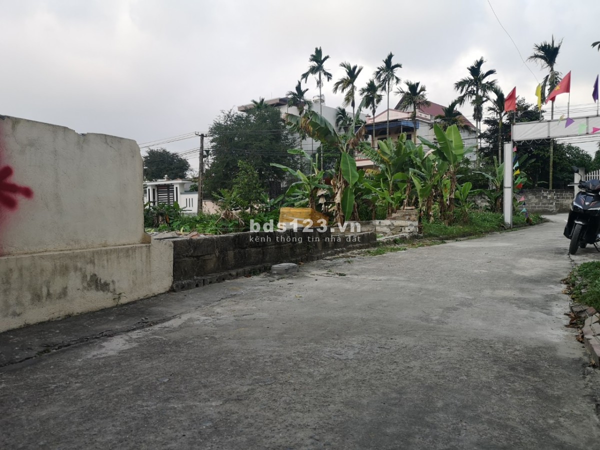 Bán đất xóm Đoài, xã An Hưng, huyện An Dương, tỉnh Hải Phòng