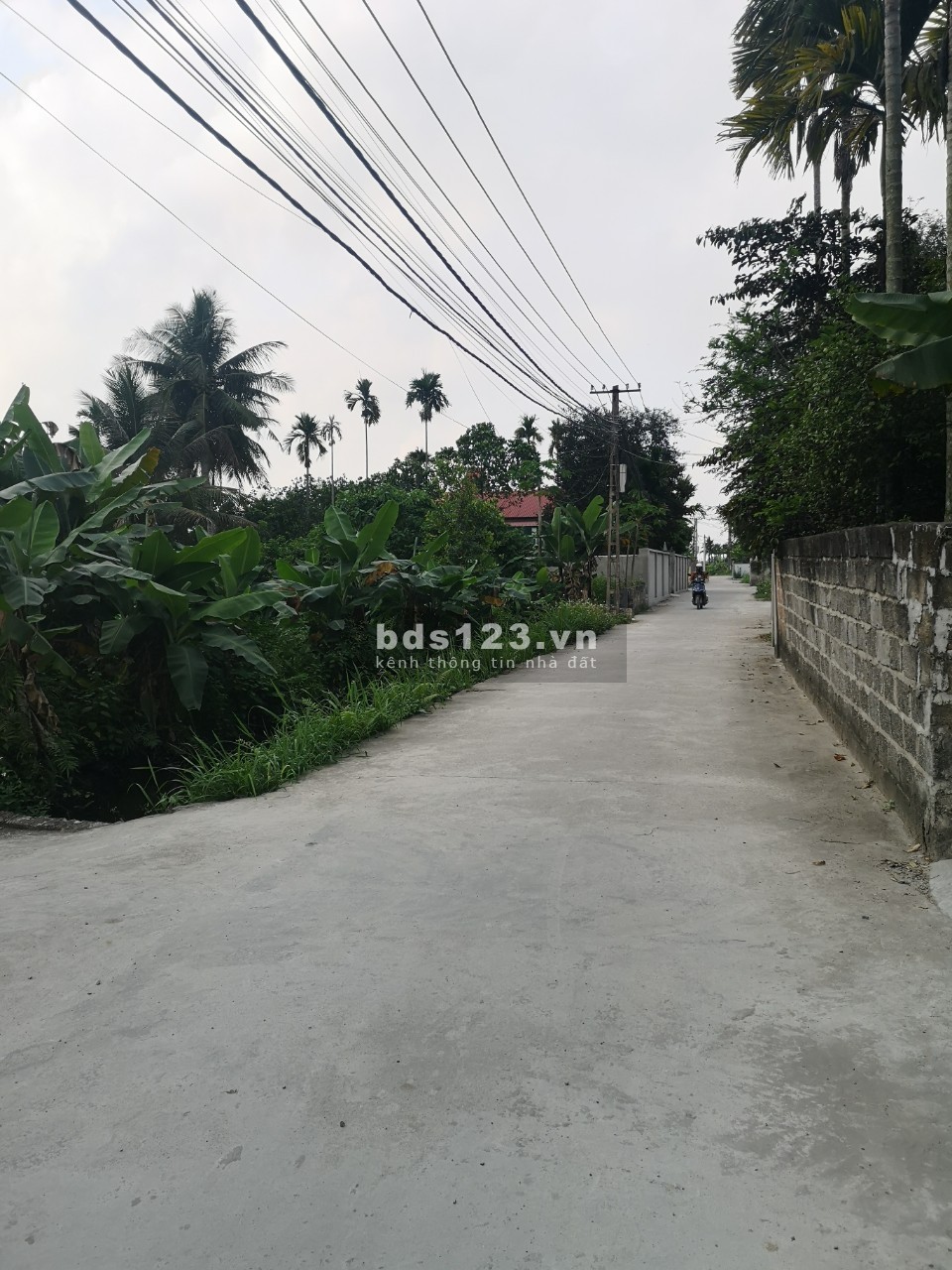 Bán đất xóm Đoài, xã An Hưng, huyện An Dương, tỉnh Hải Phòng