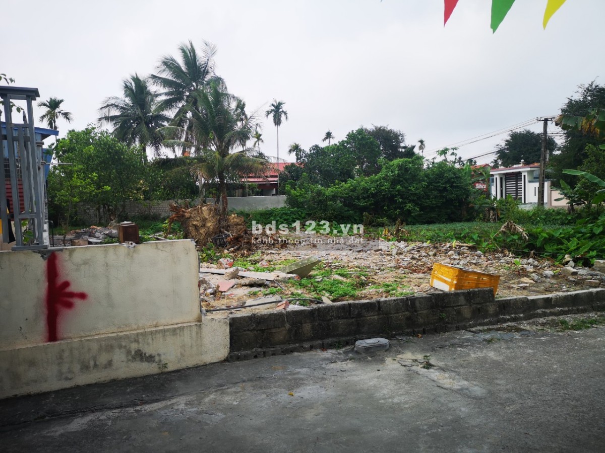 Bán đất xóm Đoài, xã An Hưng, huyện An Dương, tỉnh Hải Phòng