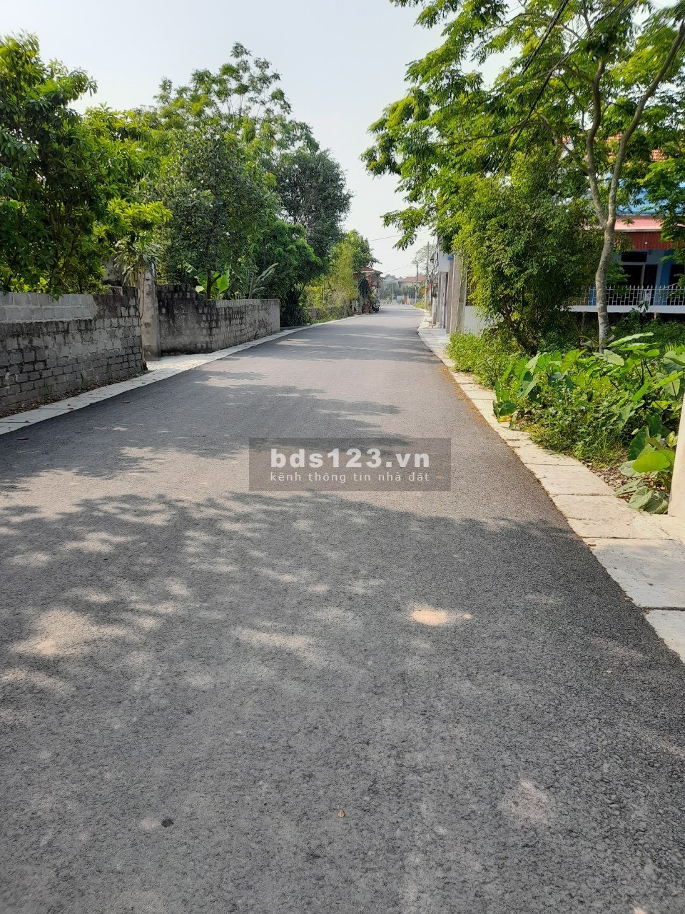 Chính chủ bán đất dự án giá rẻ nằm giữa các KCN lớn tỉnh Hưng Yên. mặt đường nhựa 7m. sổ đỏ sẵn