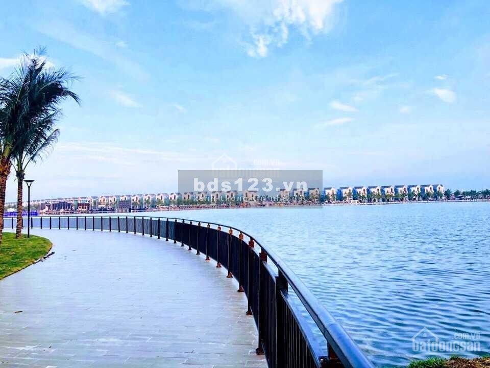 Bán biệt thự song lập 165m2, Ngọc Trai đảo nhỏ phân khu vip nhất dự án Vinhomes Ocean Park, Gia Lâm