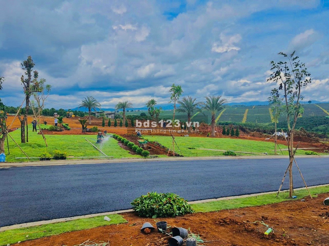 Chỉ từ 300 triệu là sở hữu đất nền view đồi săn mây đẹp nhất Bảo Lộc