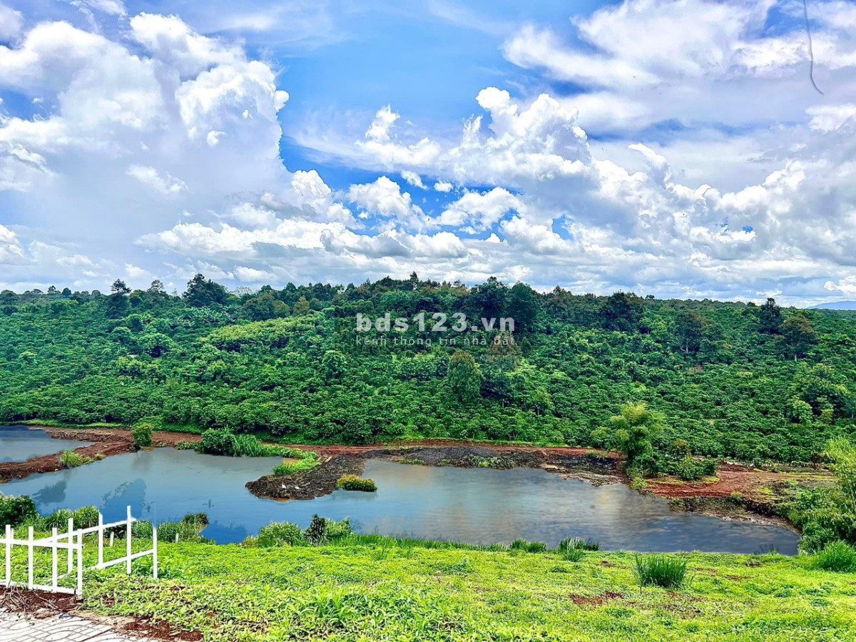 Bán Đất Ngay QL20, Full Thổ Cư Trong KDC, SHR 10 Ngày Công Chứng Tặng Ngay 1 Cây Vàng