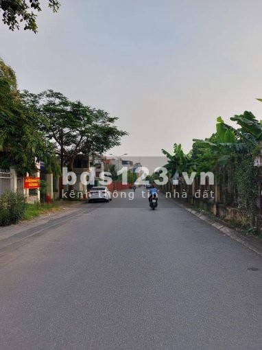 Bán Đất phố Trường Lâm, Ô tô vào tân đất diện tích 53m2 giá 3,3 tỷ