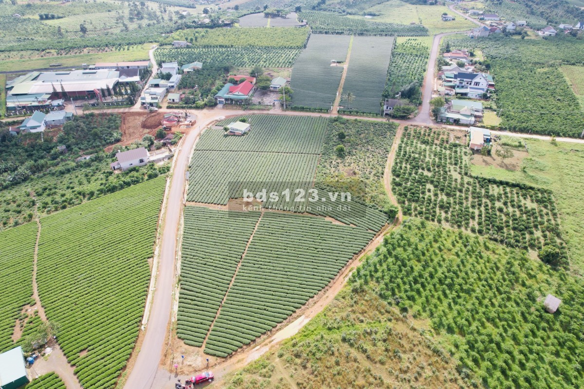 Bán đất trên 3 mặt tiền đường nhà nước gần nút lên xuống Cao Tốc