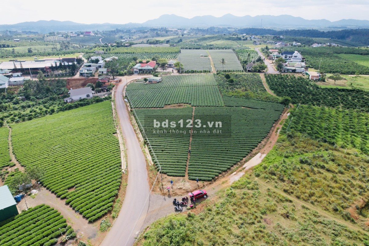 Bán đất trên 3 mặt tiền đường nhà nước gần nút lên xuống Cao Tốc
