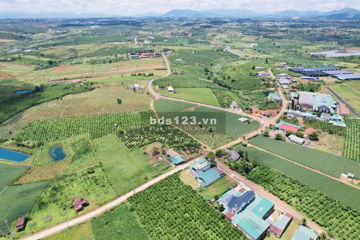 Bán đất trên 3 mặt tiền đường nhà nước gần nút lên xuống Cao Tốc