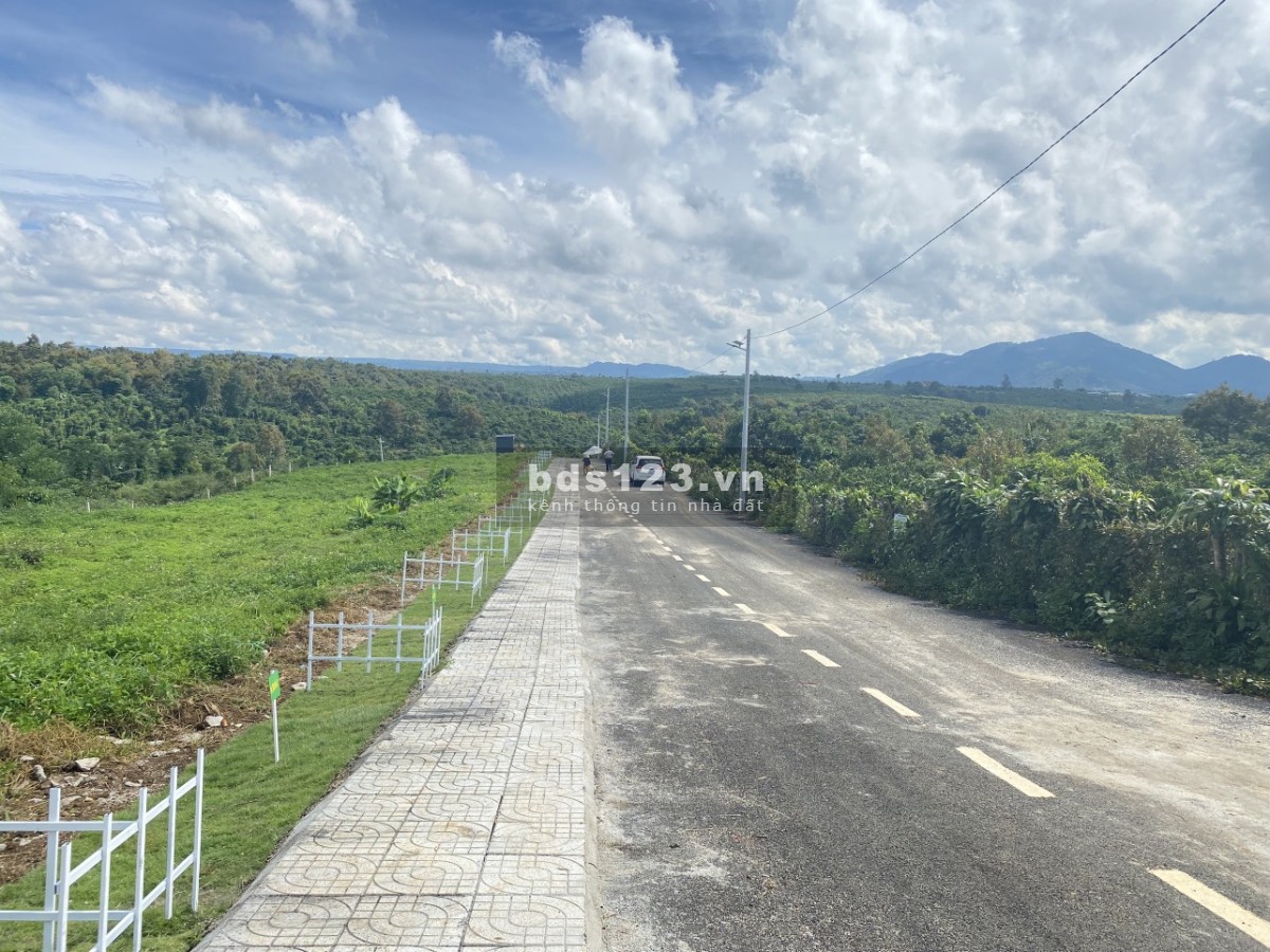 Bán Đất Ngay QL20, Full Thổ Cư Trong KDC, SHR 10 Ngày Công Chứng Tặng Ngay 1 Cây Vàng