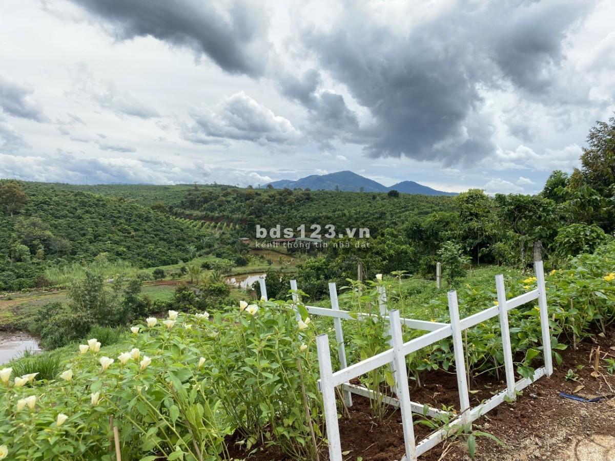 Bán Đất Ngay QL20, Full Thổ Cư Trong KDC, SHR 10 Ngày Công Chứng Tặng Ngay 1 Cây Vàng