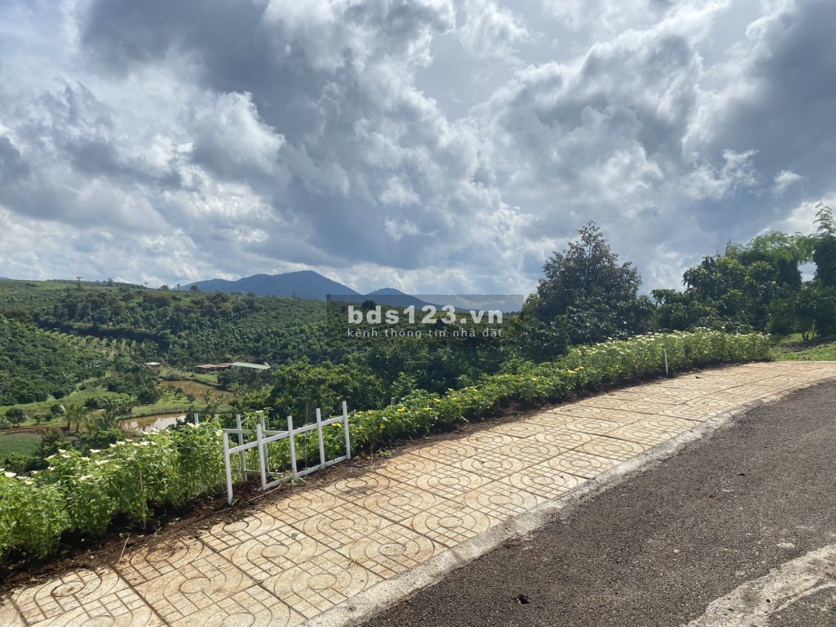 Bán Đất Ngay QL20, Full Thổ Cư Trong KDC, SHR 10 Ngày Công Chứng Tặng Ngay 1 Cây Vàng