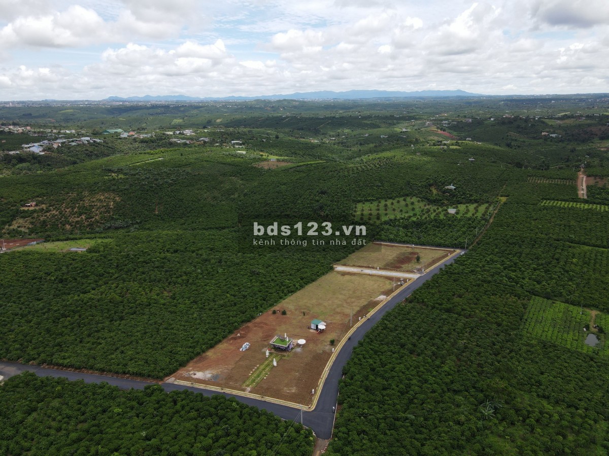 Cần tiền ra nhanh lô đất 130m2, sẵn sổ thổ cư cách Quốc Lộ 20 500m