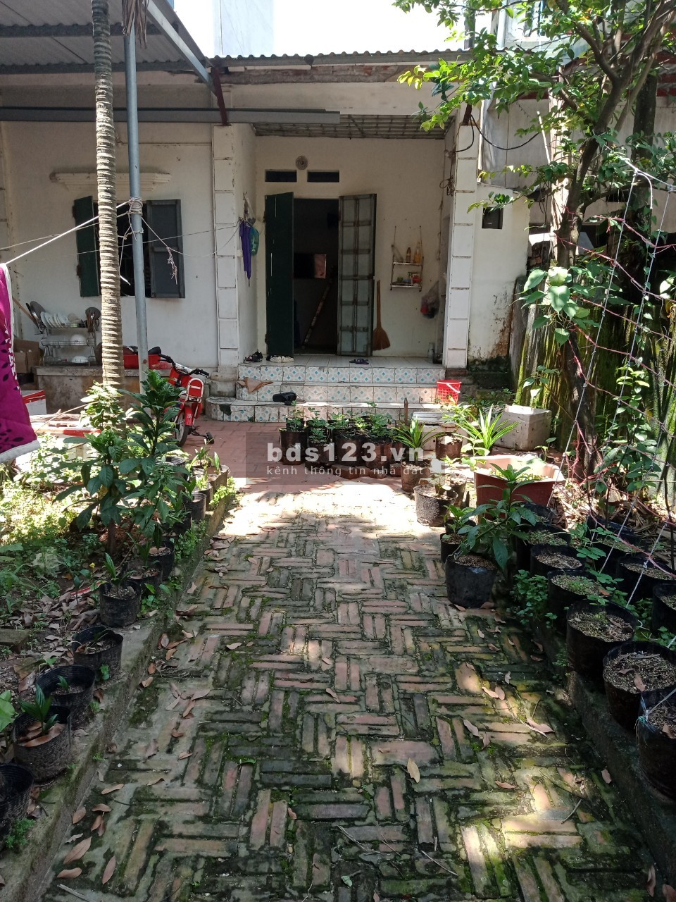 Cho thuê phòng trọ, nhà cấp 4 riêng biệt thôn Hội Phụ Đông Hội Đông Anh Hà Nội