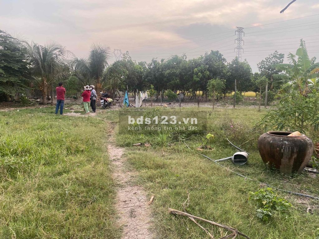 Bán đất gần chợ Cầu Voi cách khu công nghiệp Long Hậu 200m