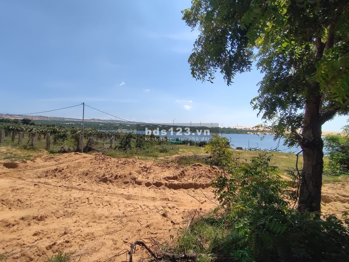 Bán đất sào gần biển Hoà Thắng, Bắc Bình, Bình Thuận, dtsd 21973m2, sổ đỏ, giá 270k/m2