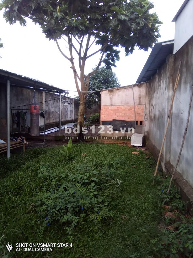 Cho thuê trang trại nhỏ, DT 300m2, có nhà, khu an ninh, giá 3 triệu/tháng, LH 0913956218